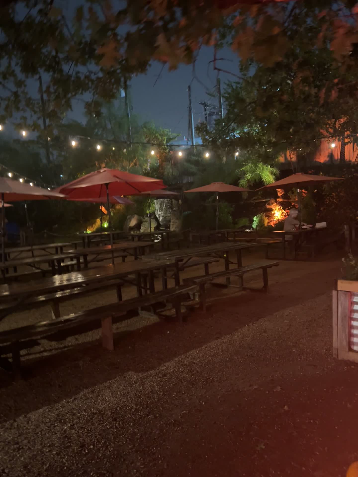 Video review of Cosmic Coffee + Beer Garden