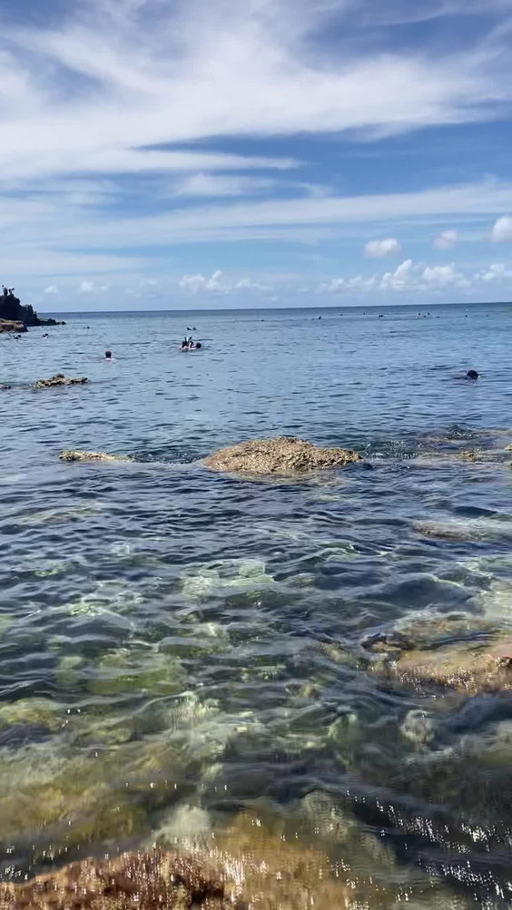 Shark's Cove