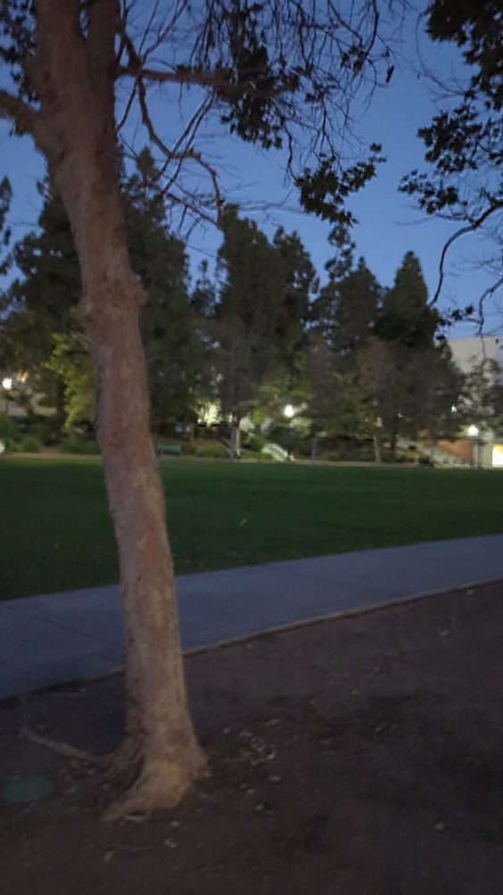 Whittier College