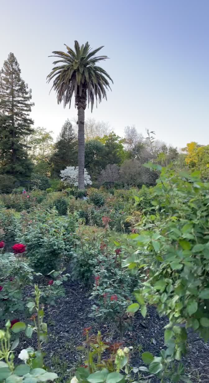 McKinley Park