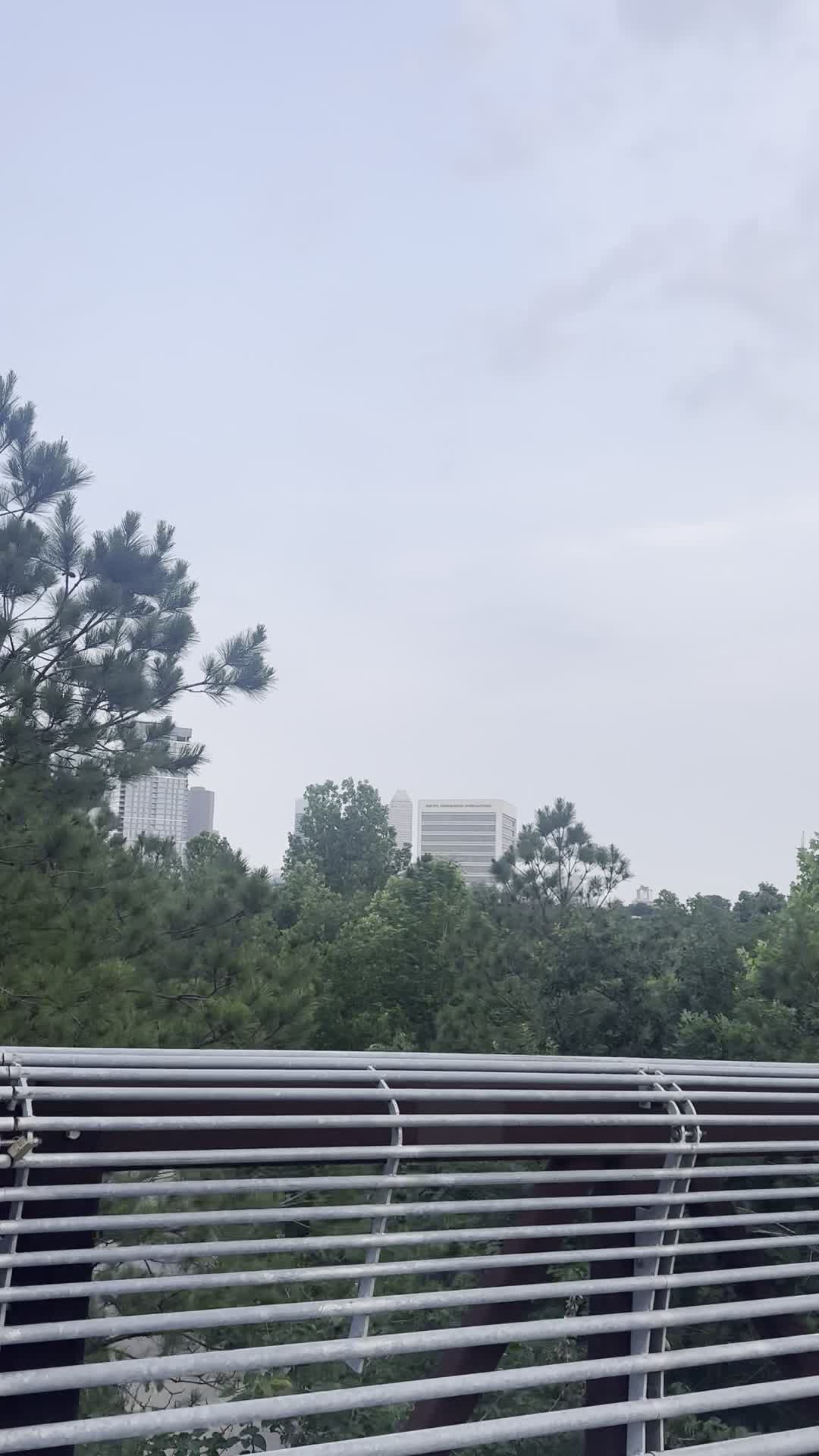 Buffalo bayou Park