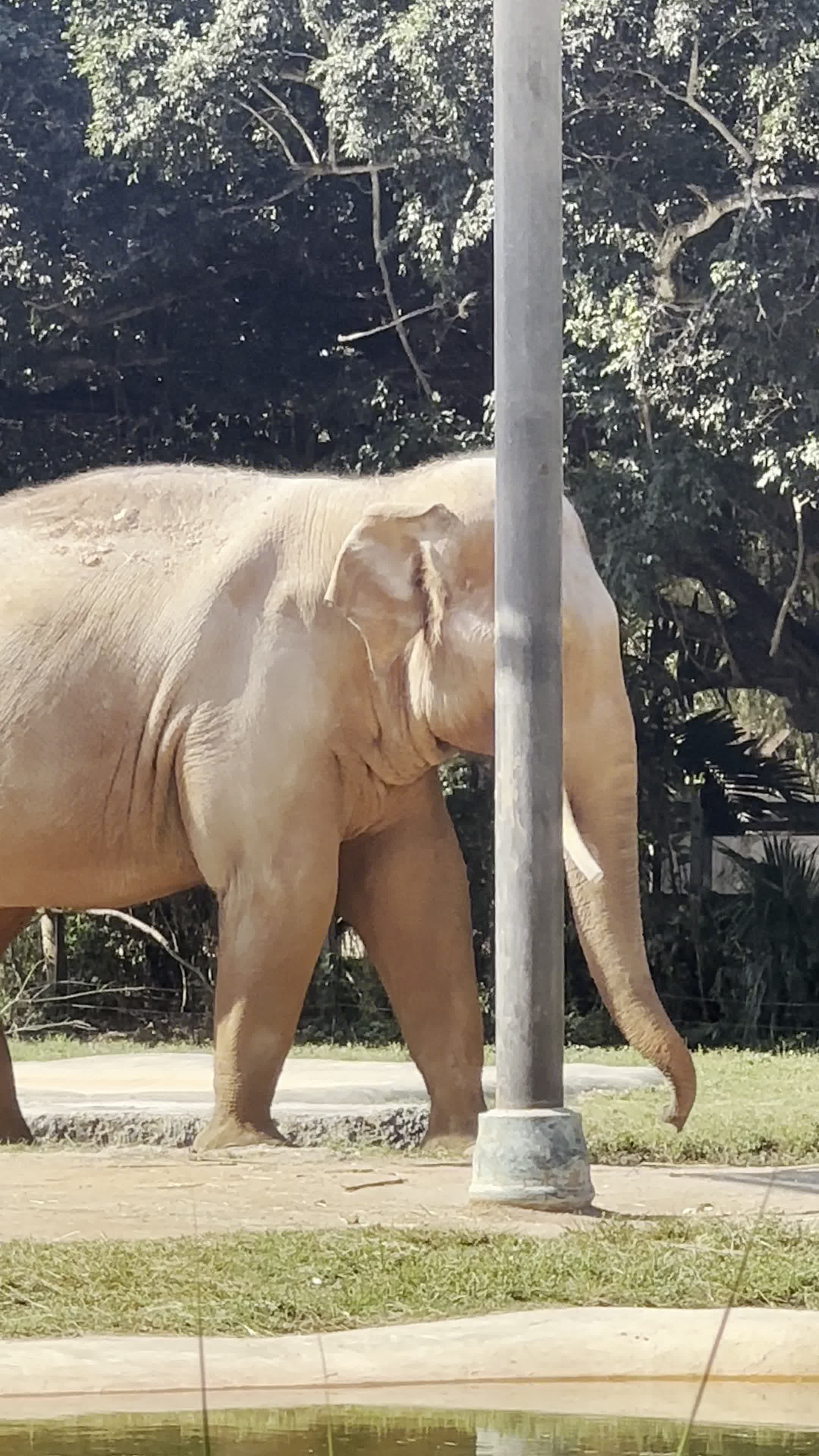 Children's Zoo
