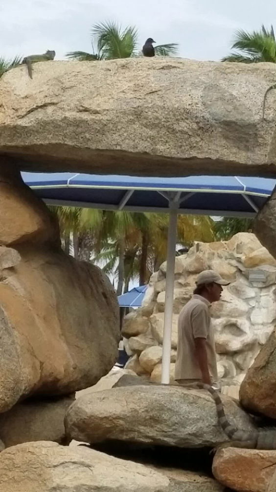 Barceló Aruba