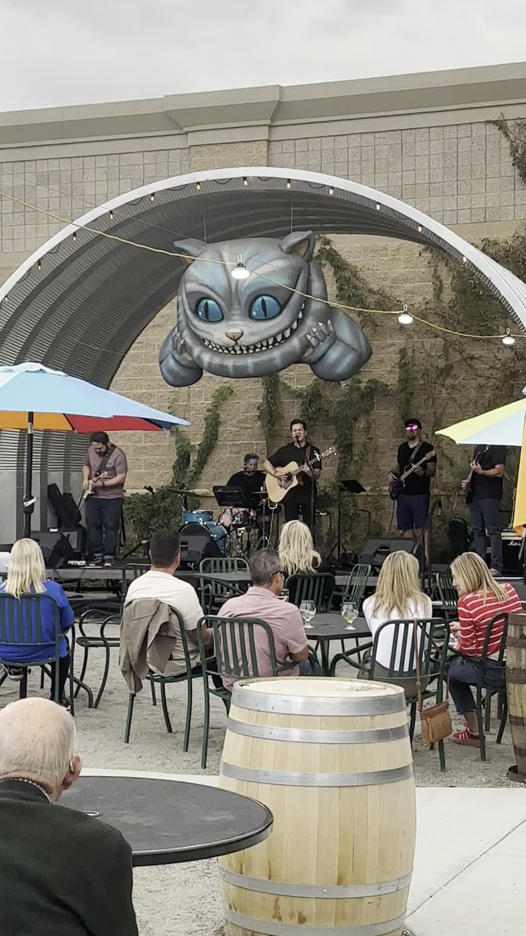 Video review of Wonderland Brewing