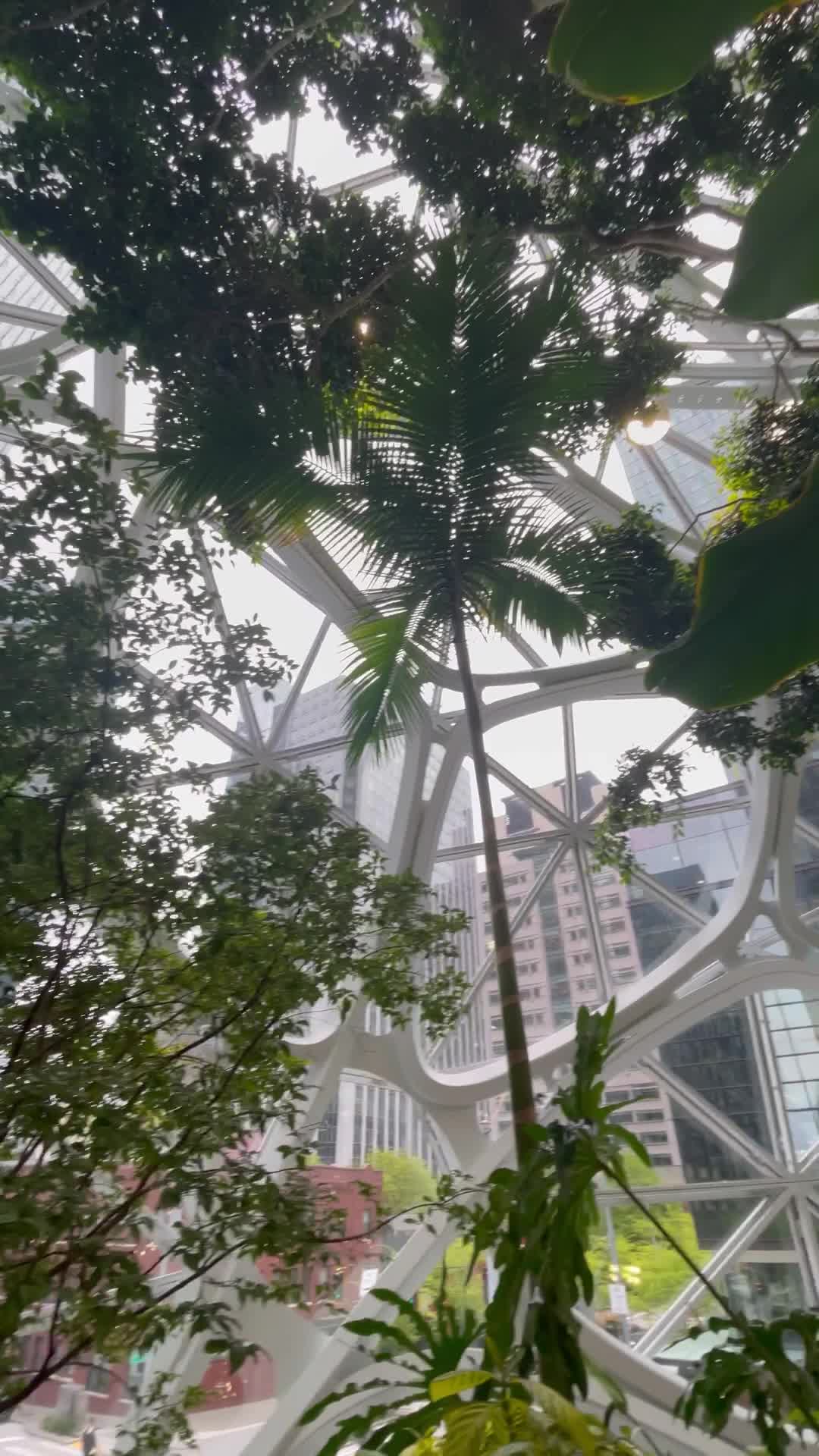 Amazon - The Spheres