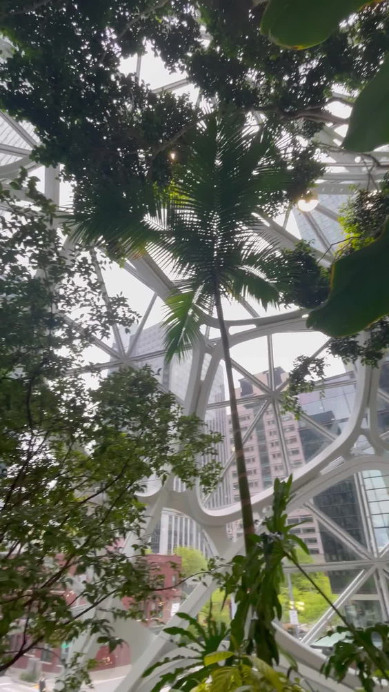Amazon - The Spheres