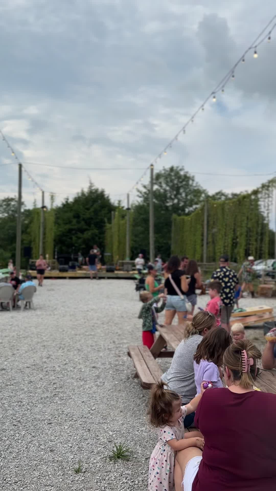 Tall Trellis Brew Co.