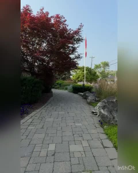 Video review of Betty's Restaurant