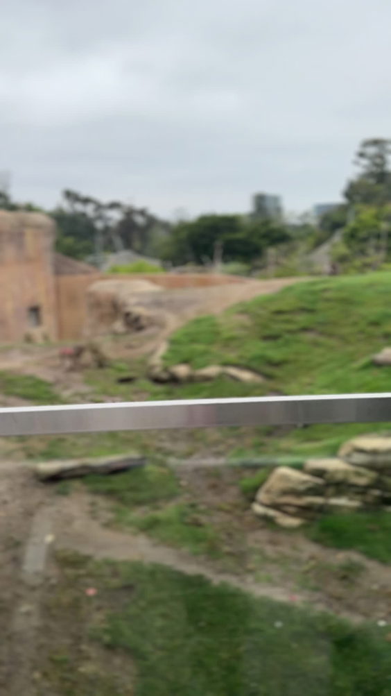 San Diego Zoo