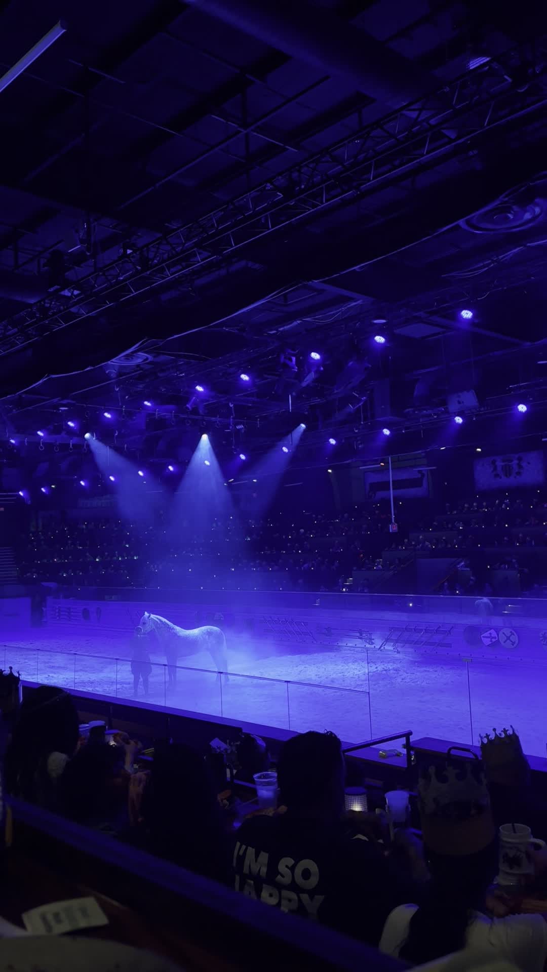 Medieval Times Dinner & Tournament