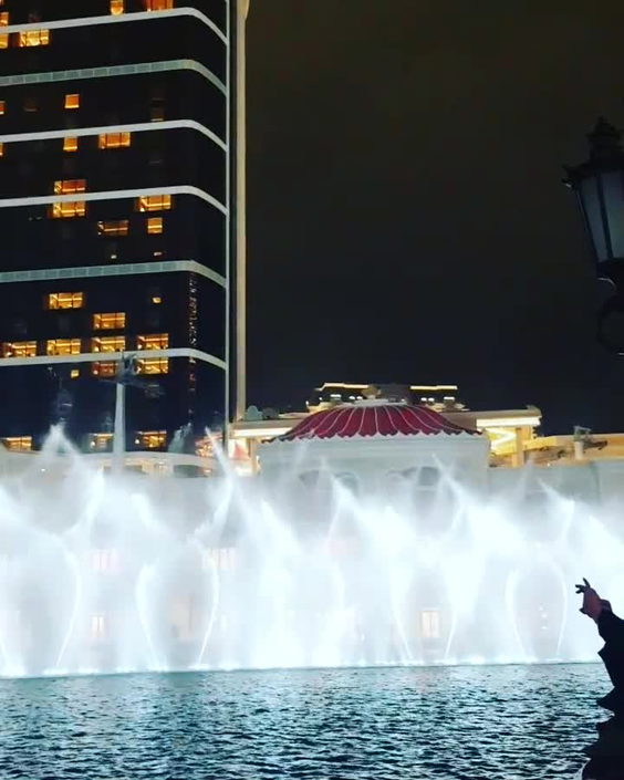 Wynn Palace