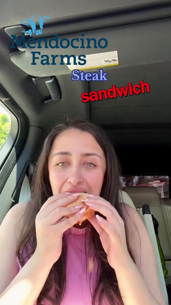 Video review of Mendocino Farms