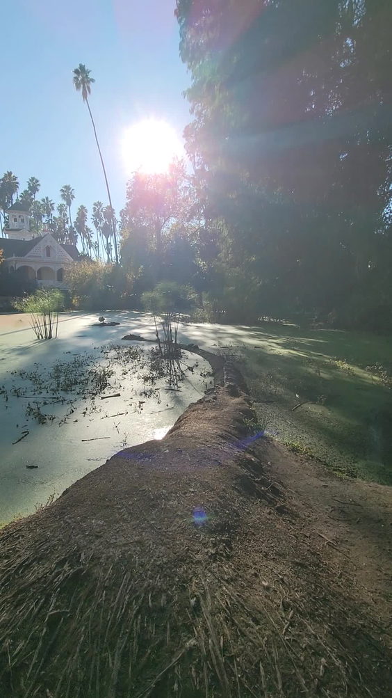 301 North Baldwin Avenue, Arcadia, CA 91007