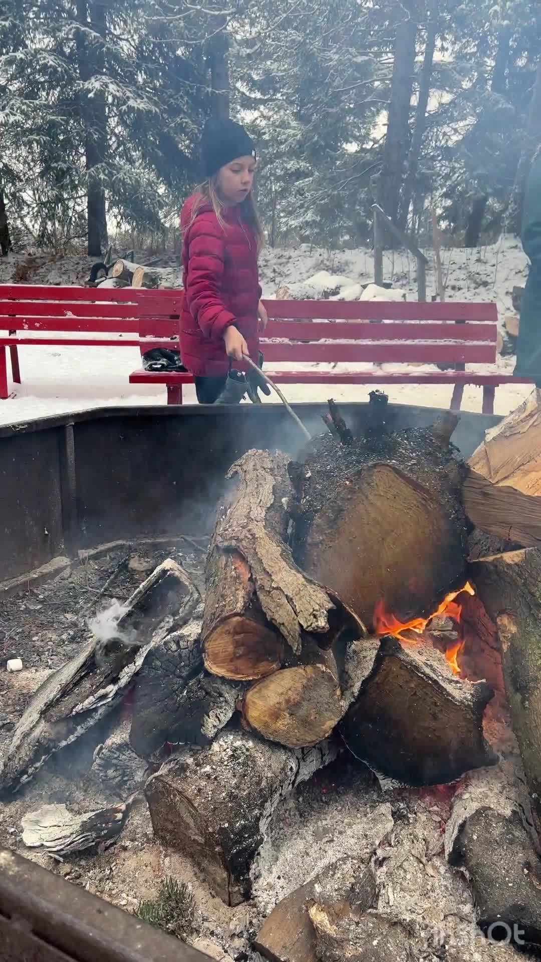 Drysdale's Tree Farm