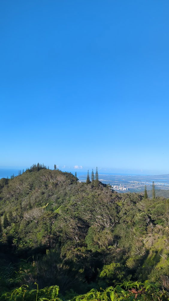 Kapalama loop trail