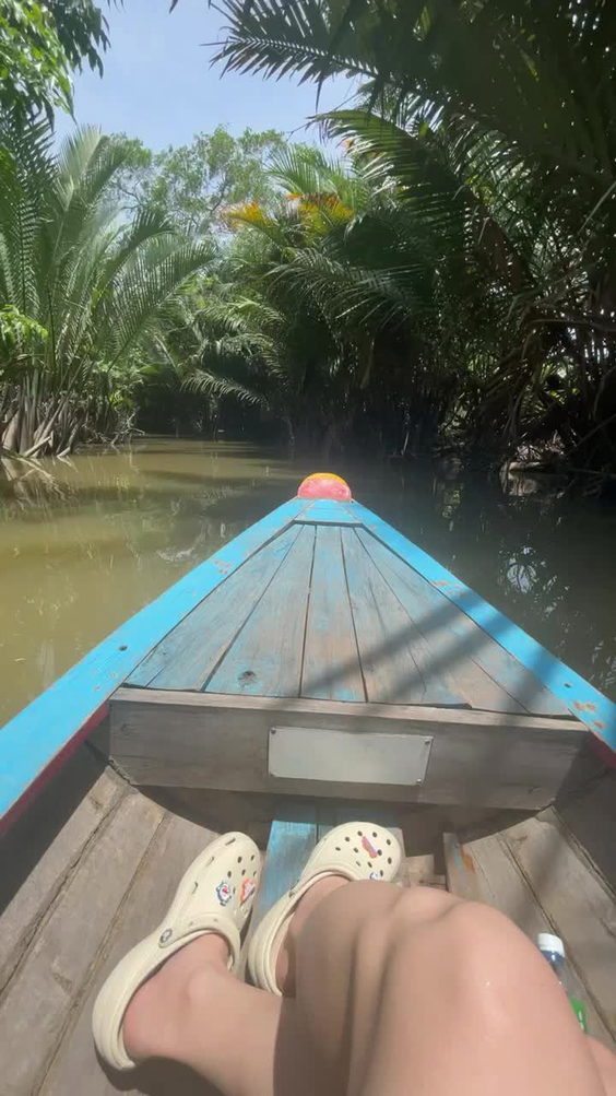 Mekong delta