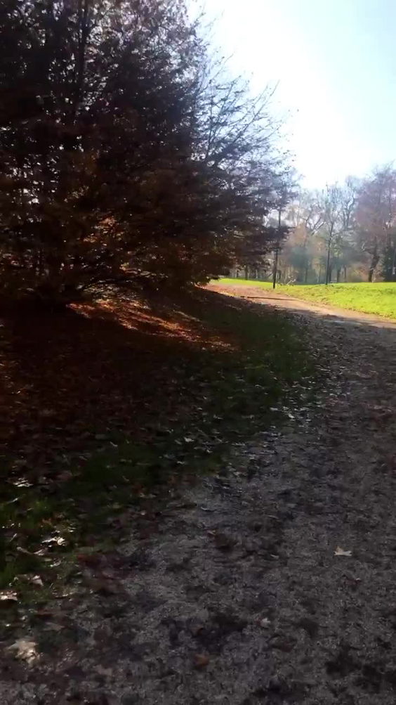 Sempione Park