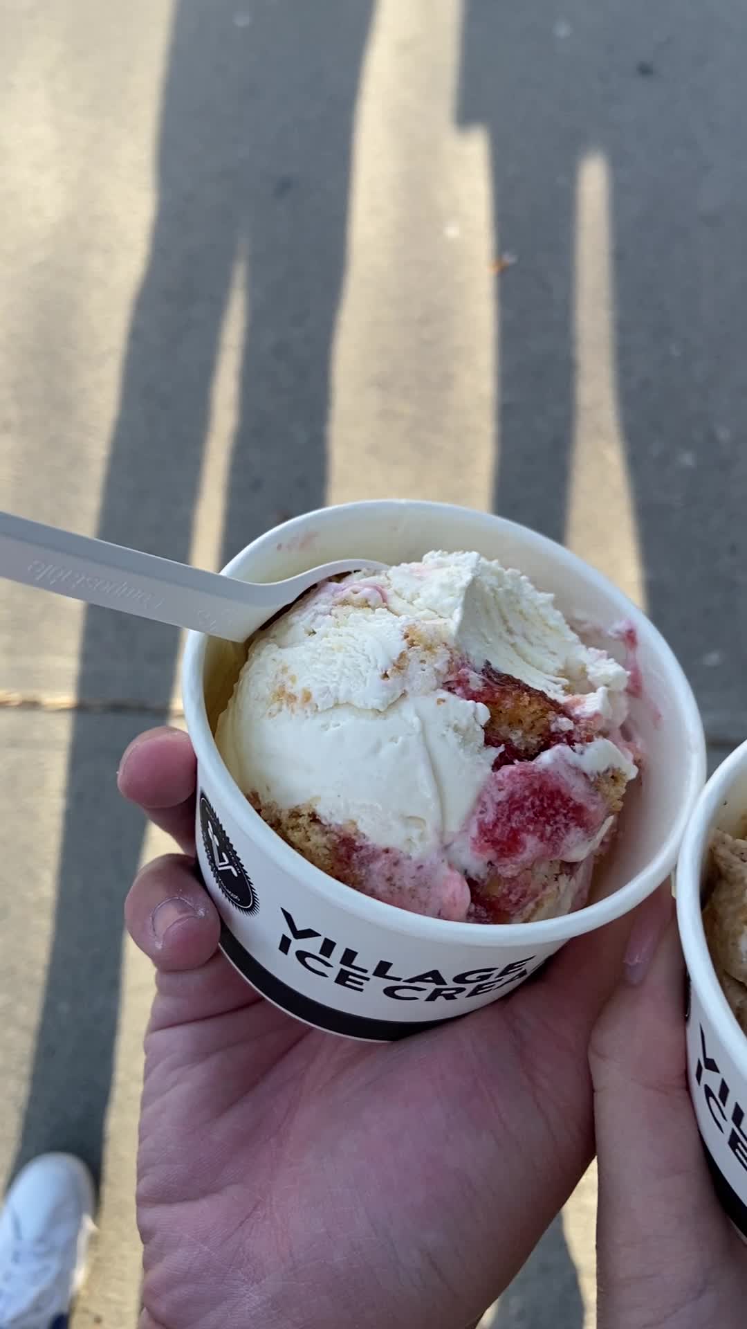 Video review of Village Ice Cream