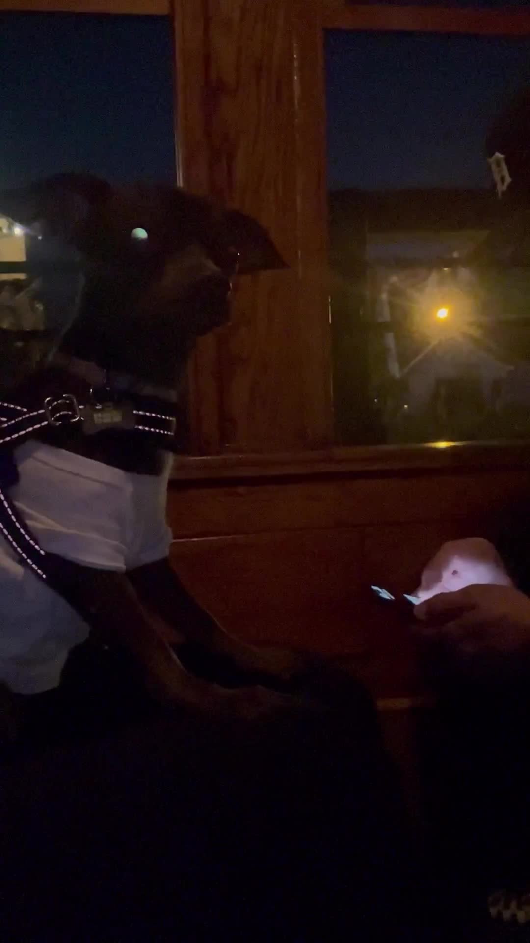 Video review of Calico Mine Ride