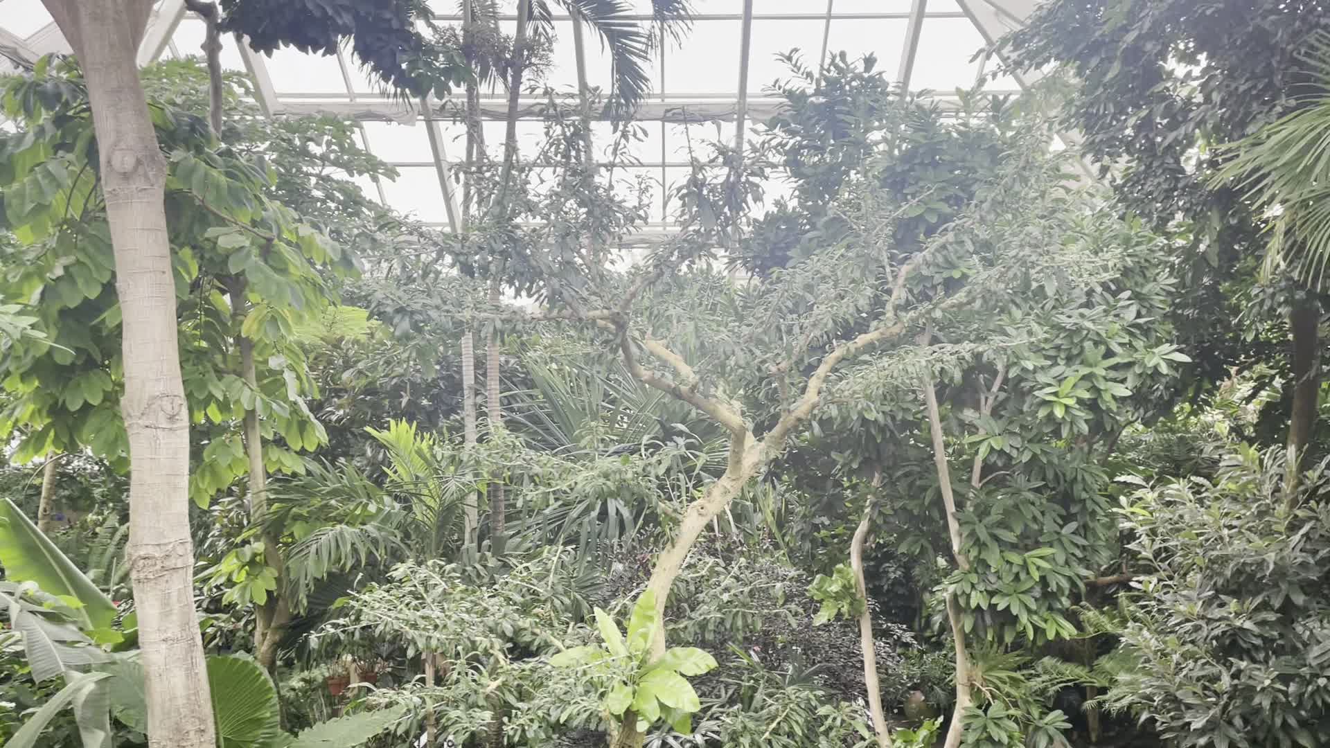 Video review of Olbrich Botanical Gardens