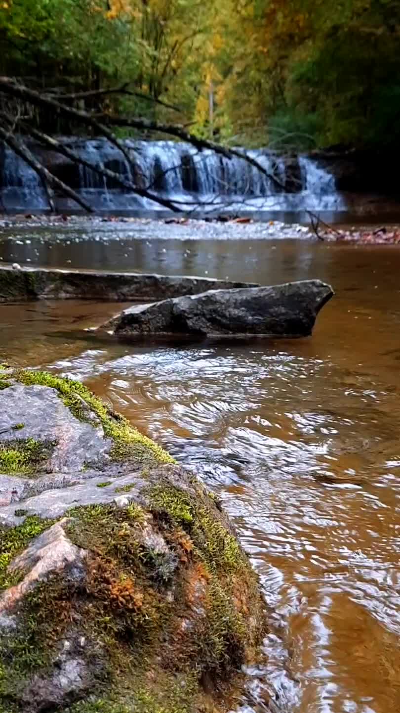 Robert H Treman State Park