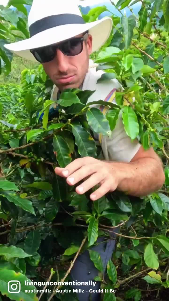 Finca Buenos Aires Coffee Tour & Coffee Shop