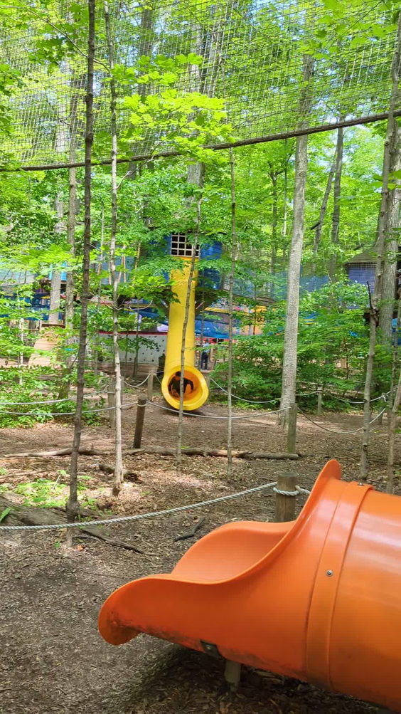 Treetop Trekking
