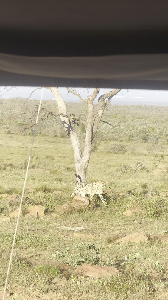 Clifftop Exclusive Safari Hideaway