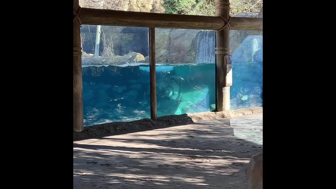 Cincinnati Zoo & Botanical Garden