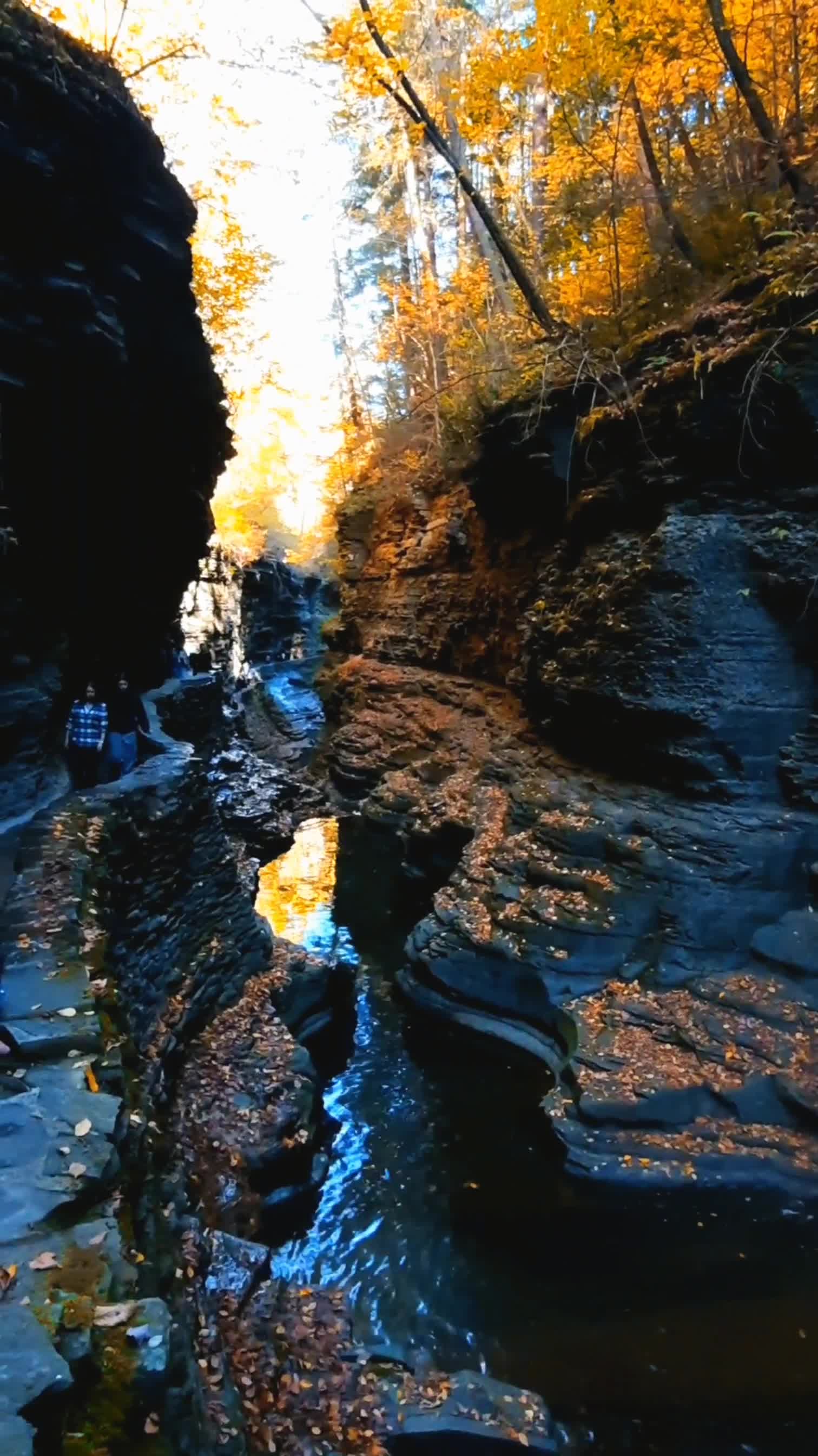 Watkins Glen State Park