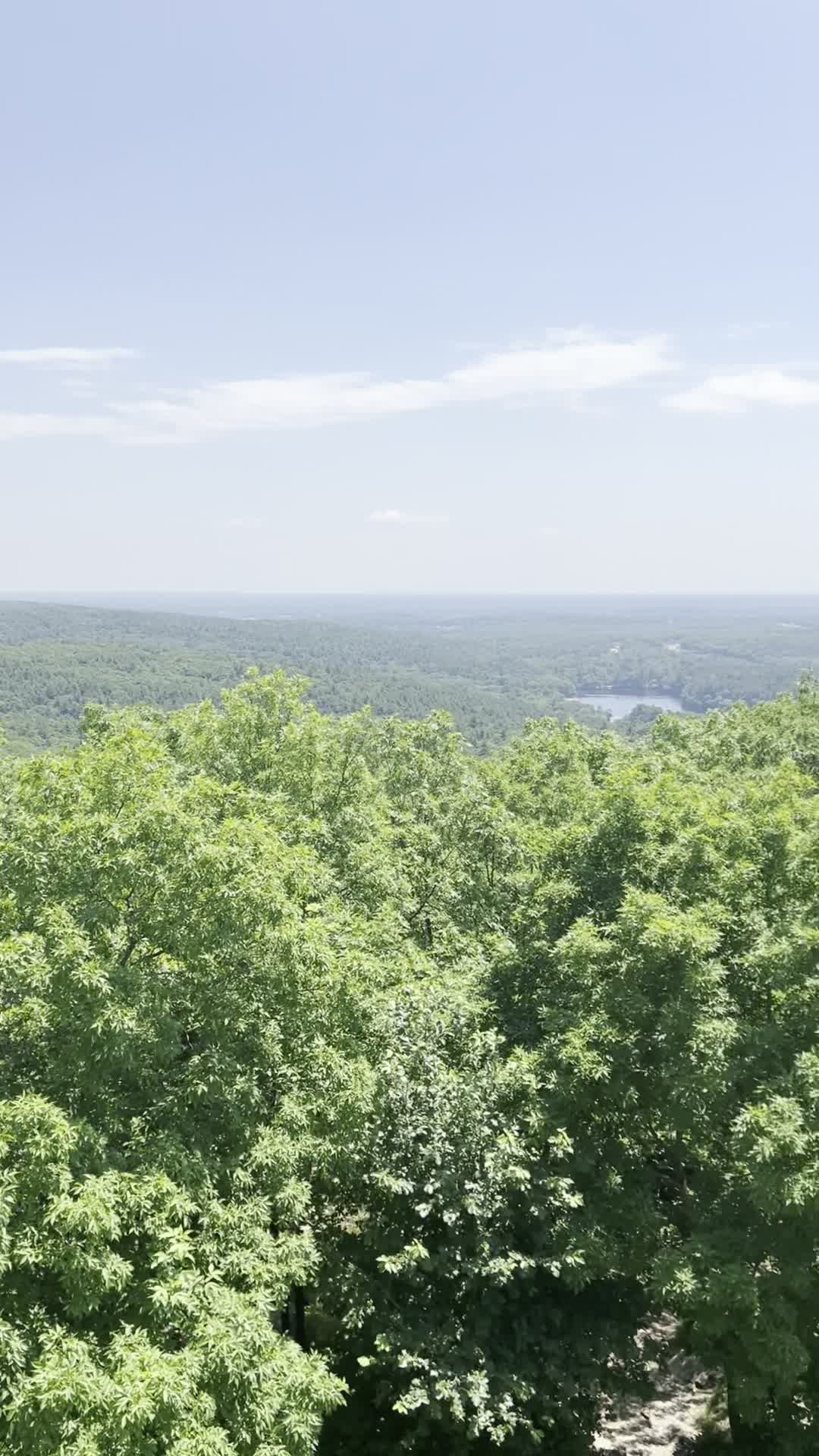 Blue Hill Observation Tower