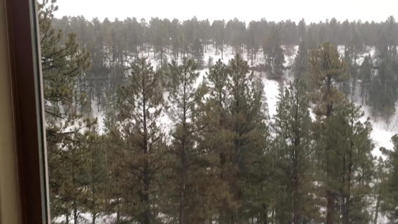 Pagosa Park