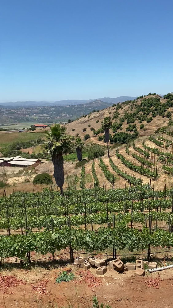 Cordiano Winery