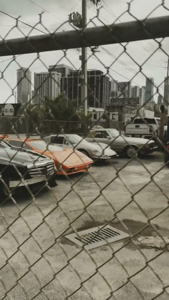 Wynwood
