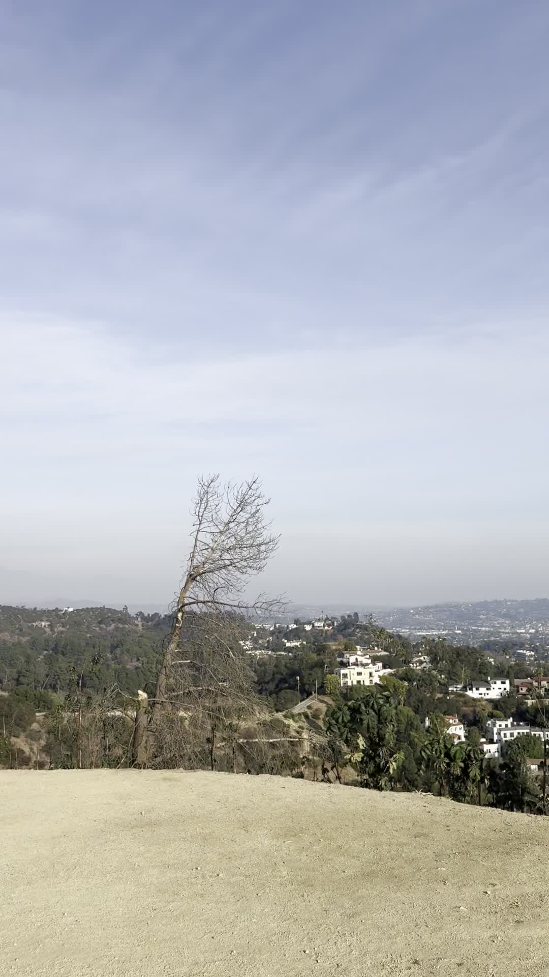Griffith Park Observatory Overlooking The Hollywood Sign
