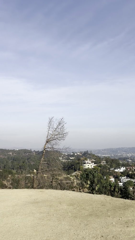 Griffith Park Observatory Overlooking The Hollywood Sign