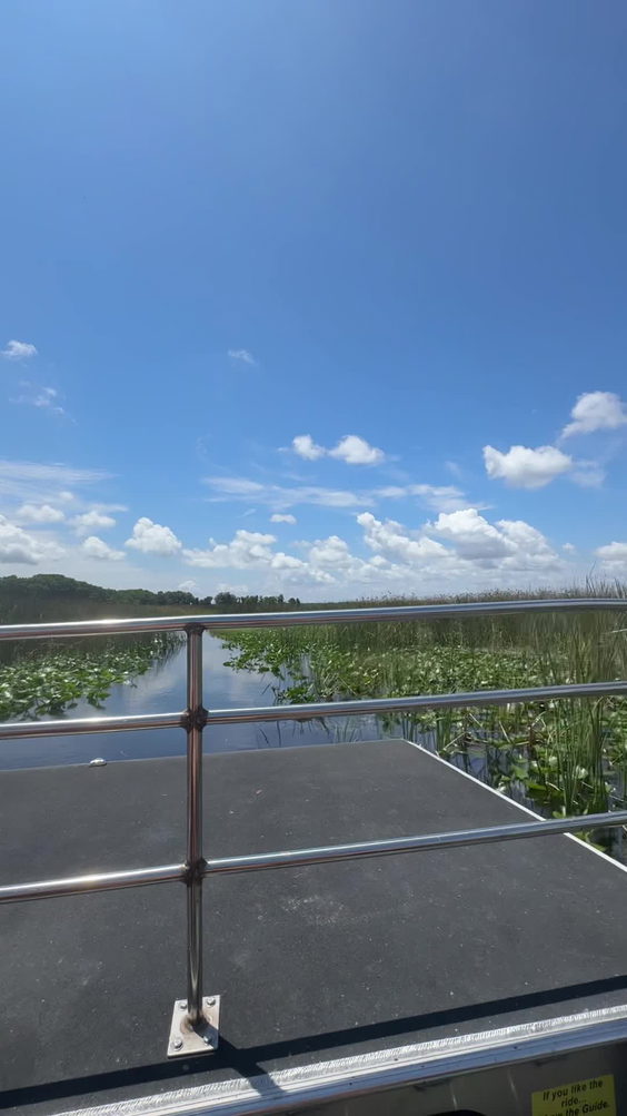 Wild Florida Airboats & Gator Park