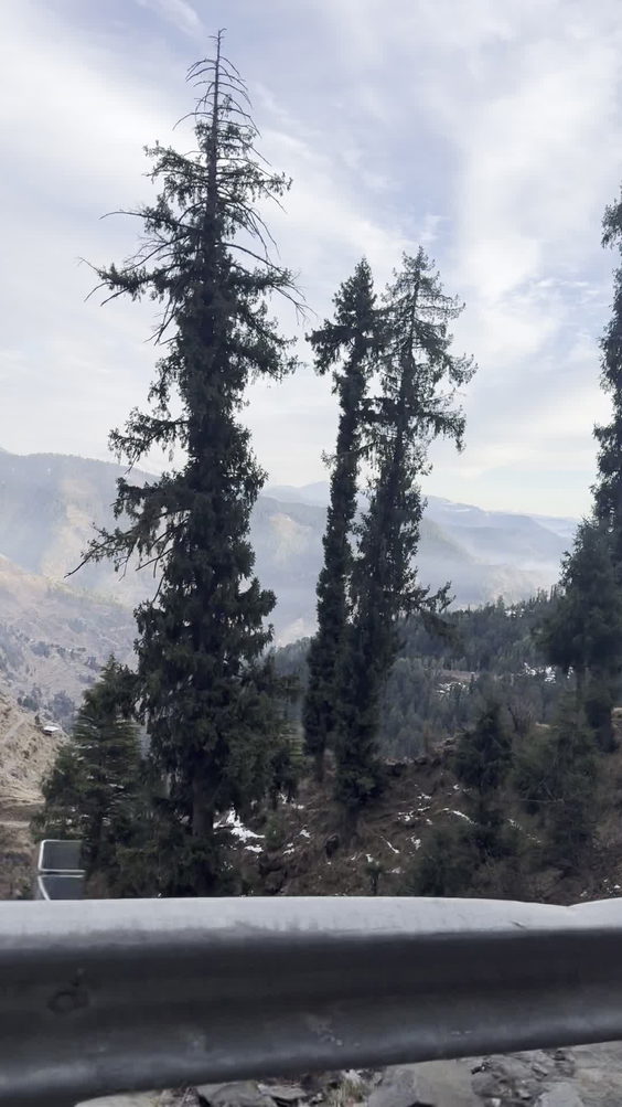 Jalori Pass