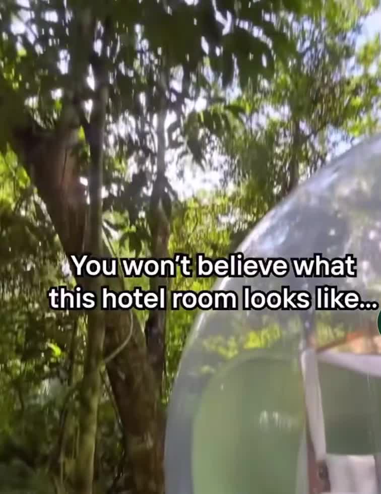 óom bubble boutique glamping