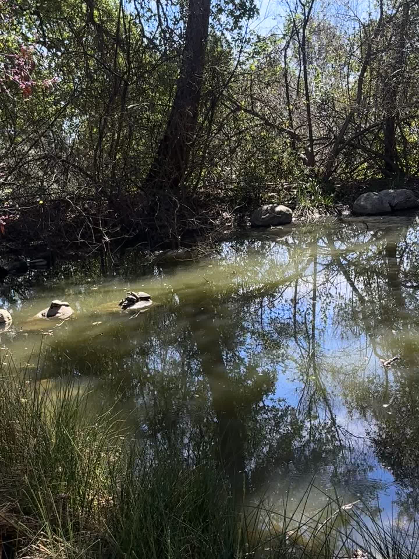 City Moment · Claremont