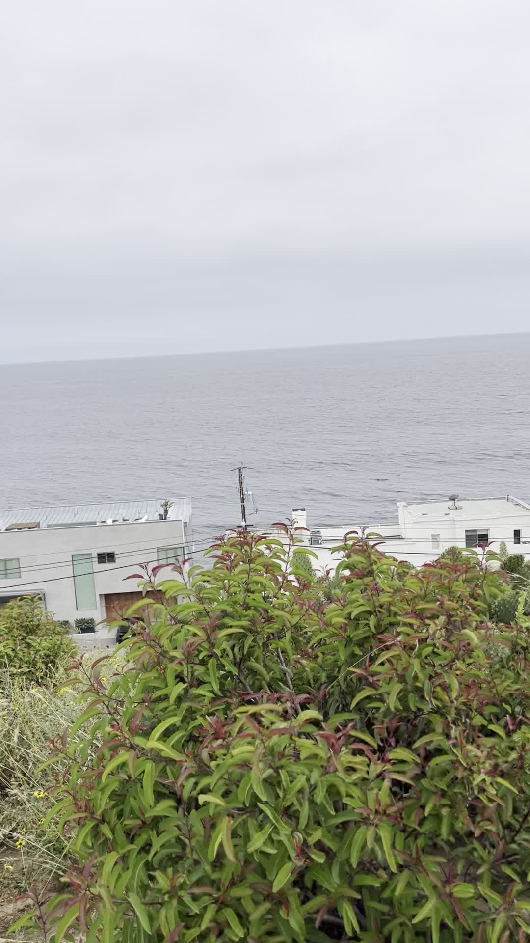 Video review of Malibu Bluffs Park