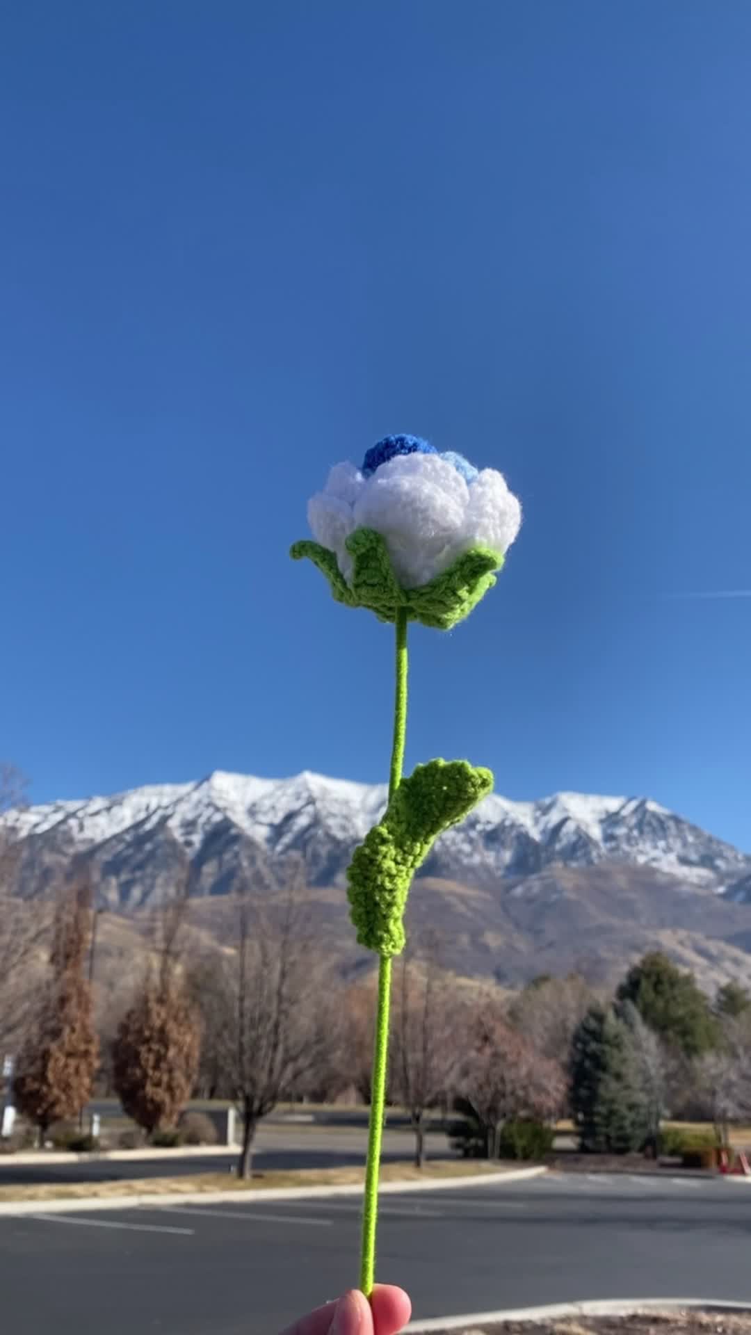 Last Call Bar & Grill