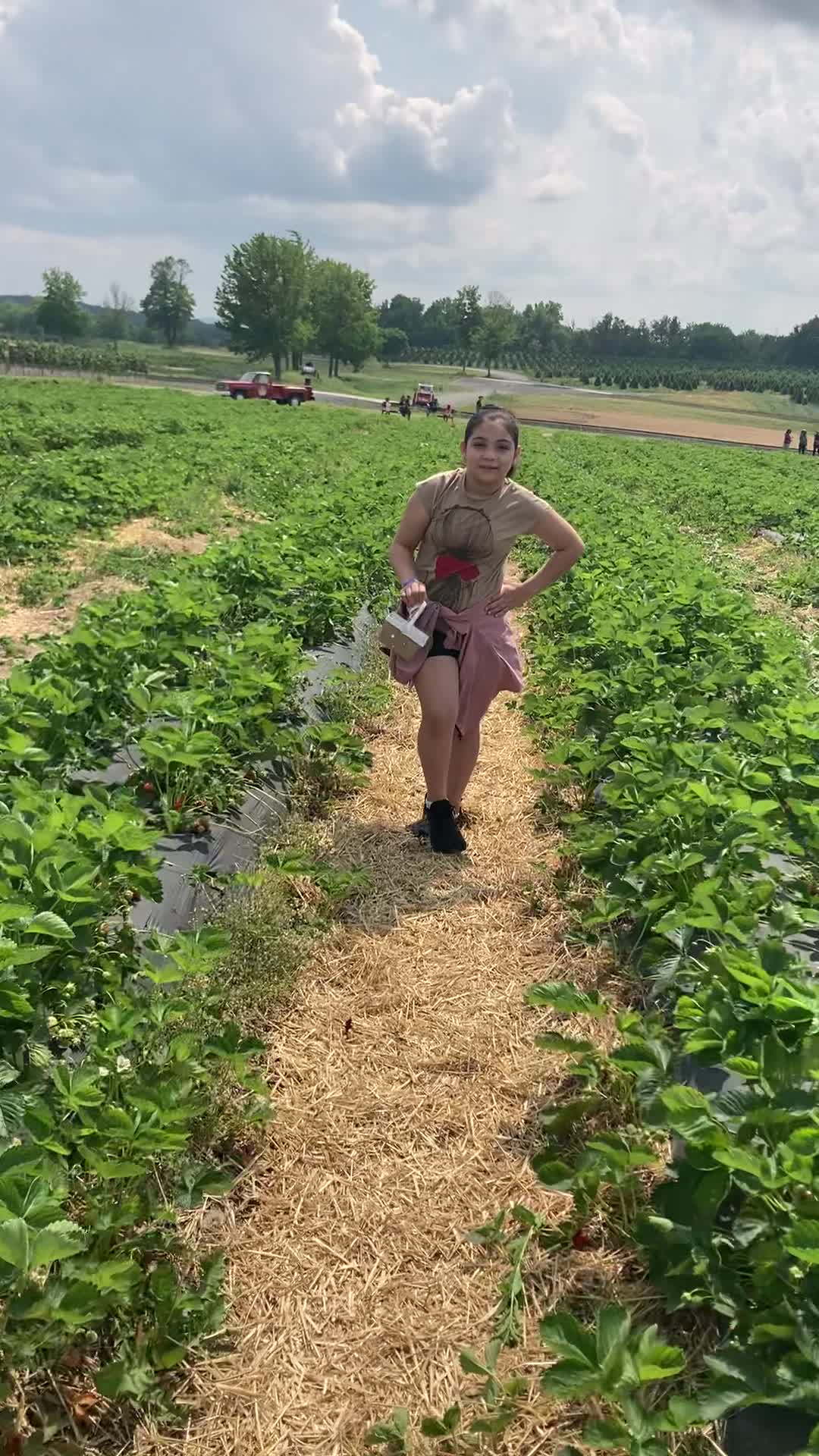 Lakeland Orchard & Cidery