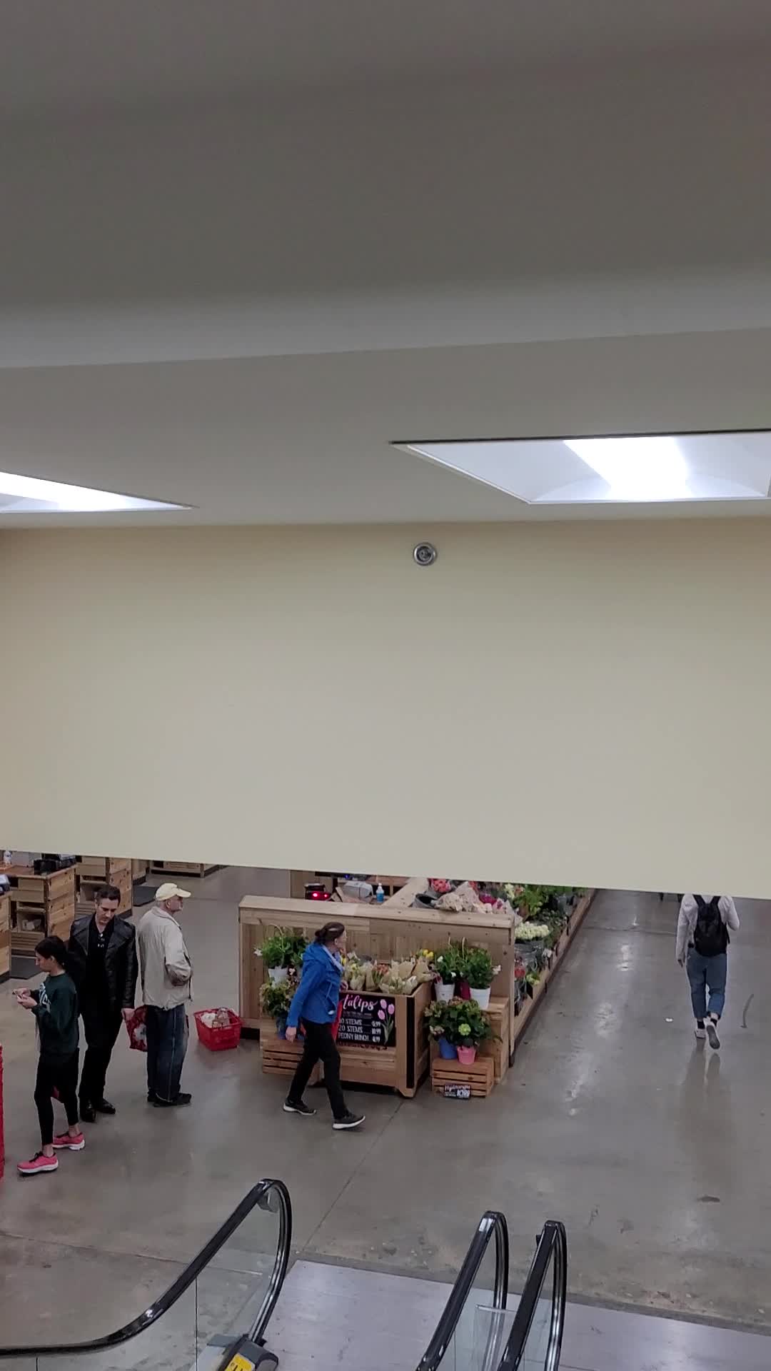 Video review of Trader Joe's