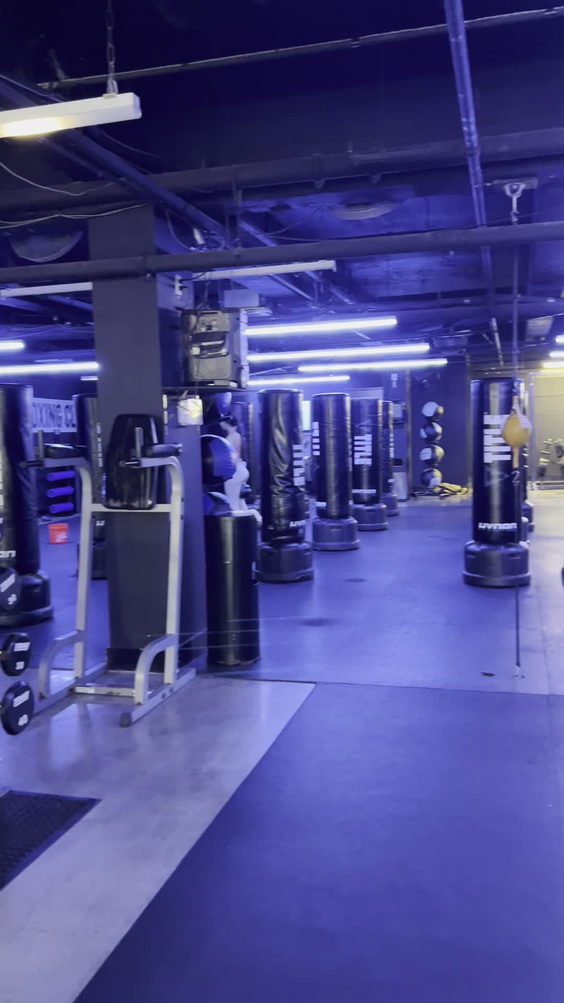 TITLE Boxing Club Forest Hills