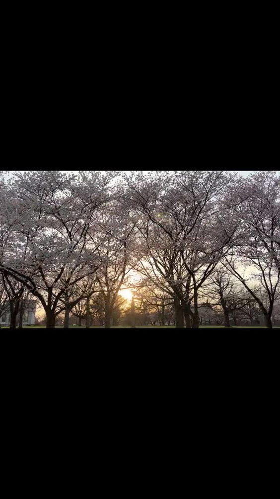 Fairmount Park Horticulture Center