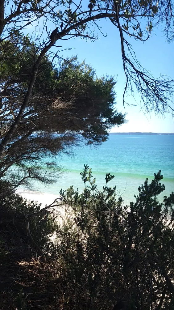 Nelson's Beach Vincentia 