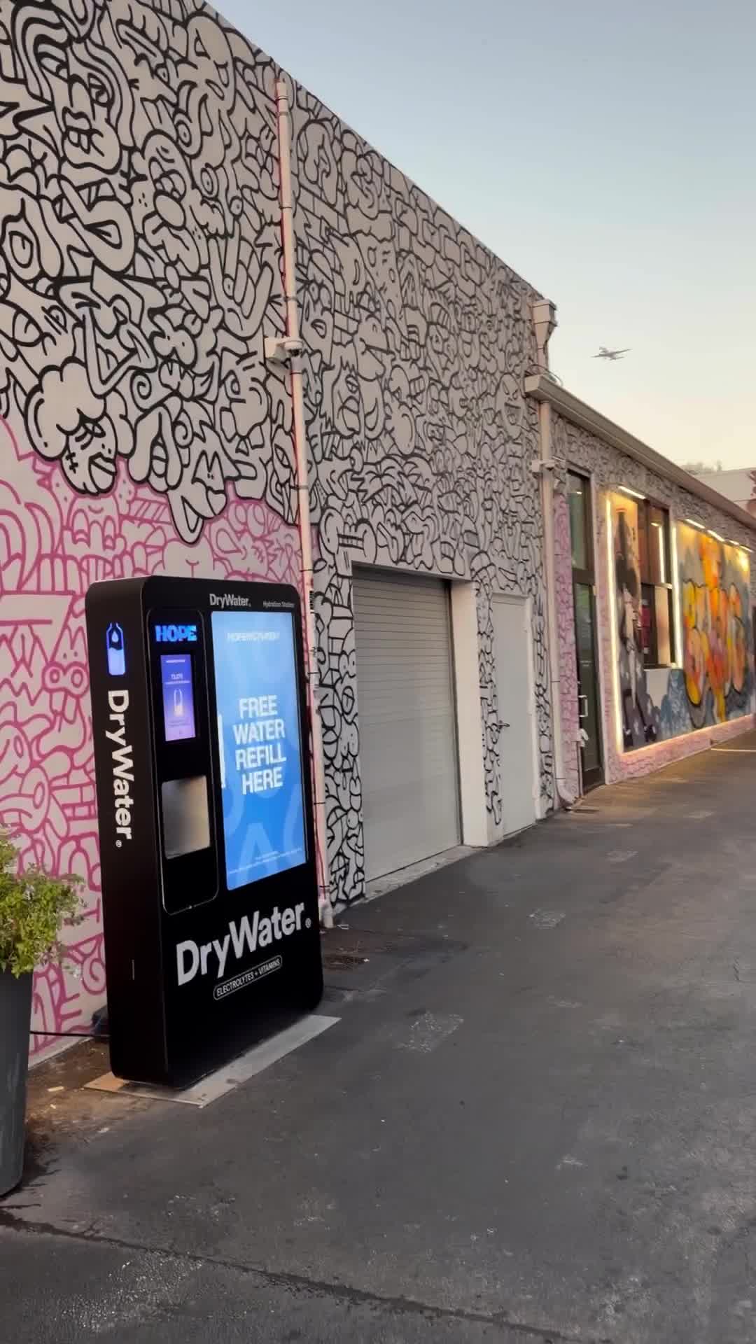 Wynwood Walls