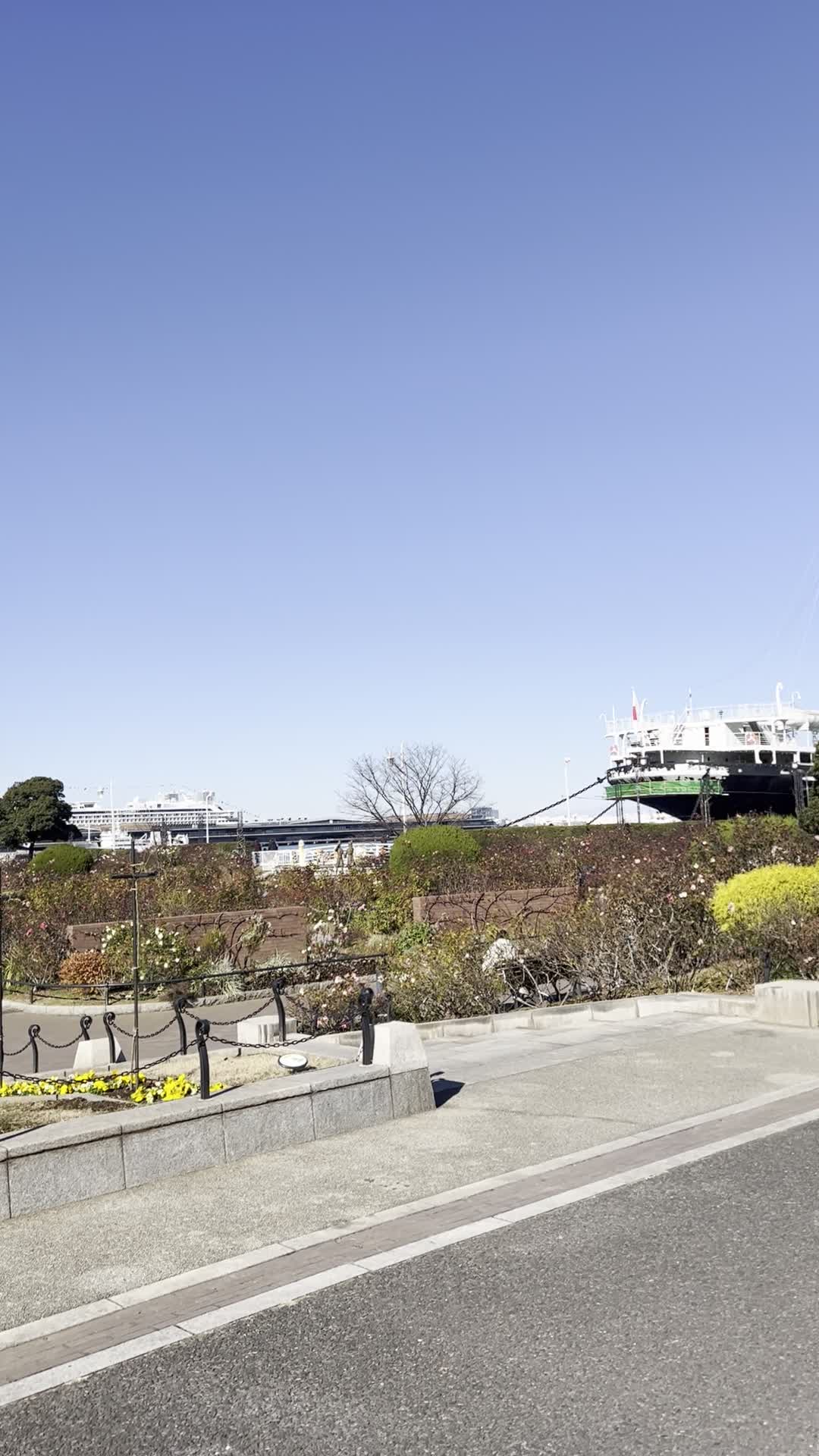 Video review of Yamashita Park (山下公園)