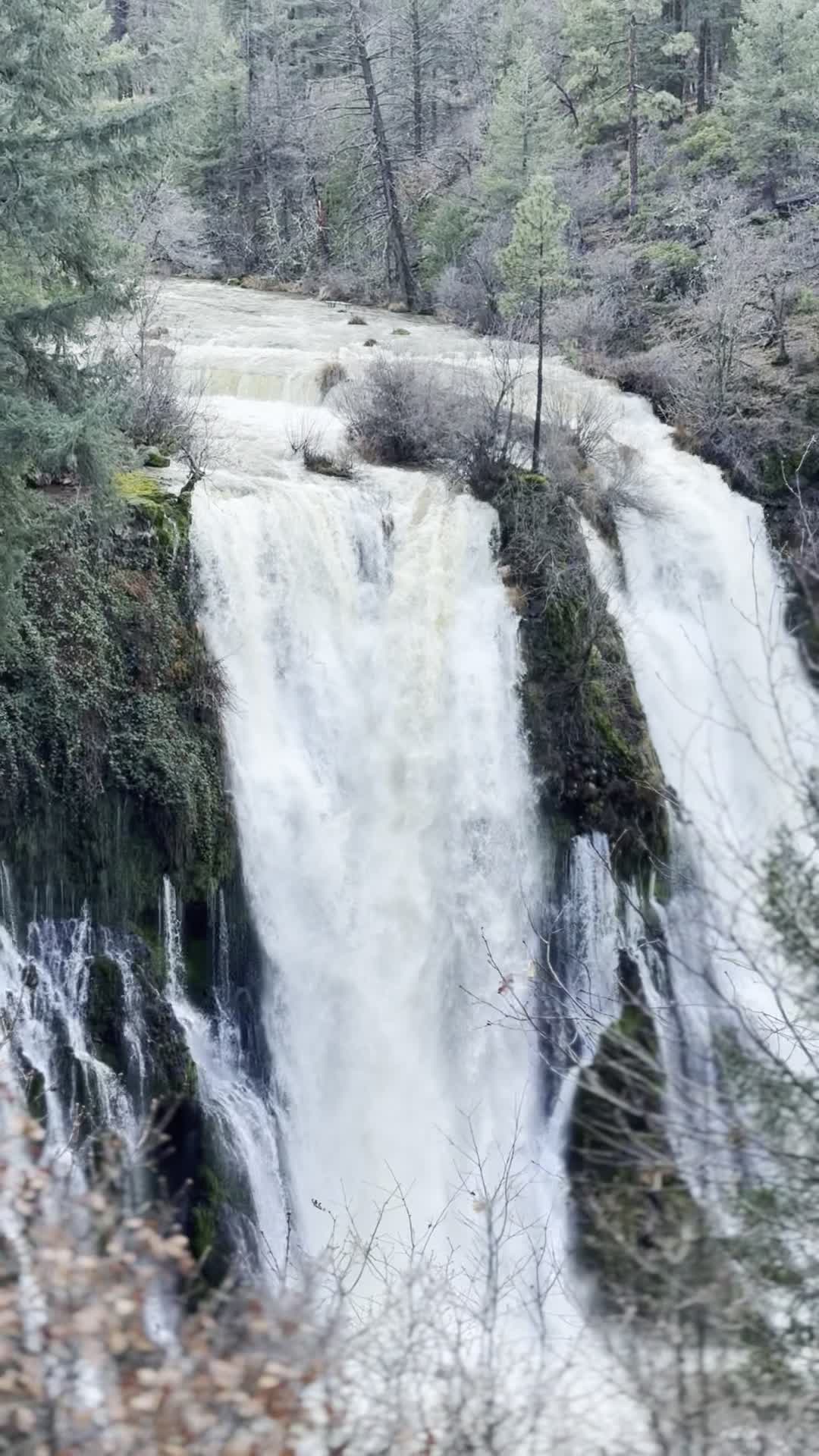 McArthur-Burney Falls Memorial State Park
